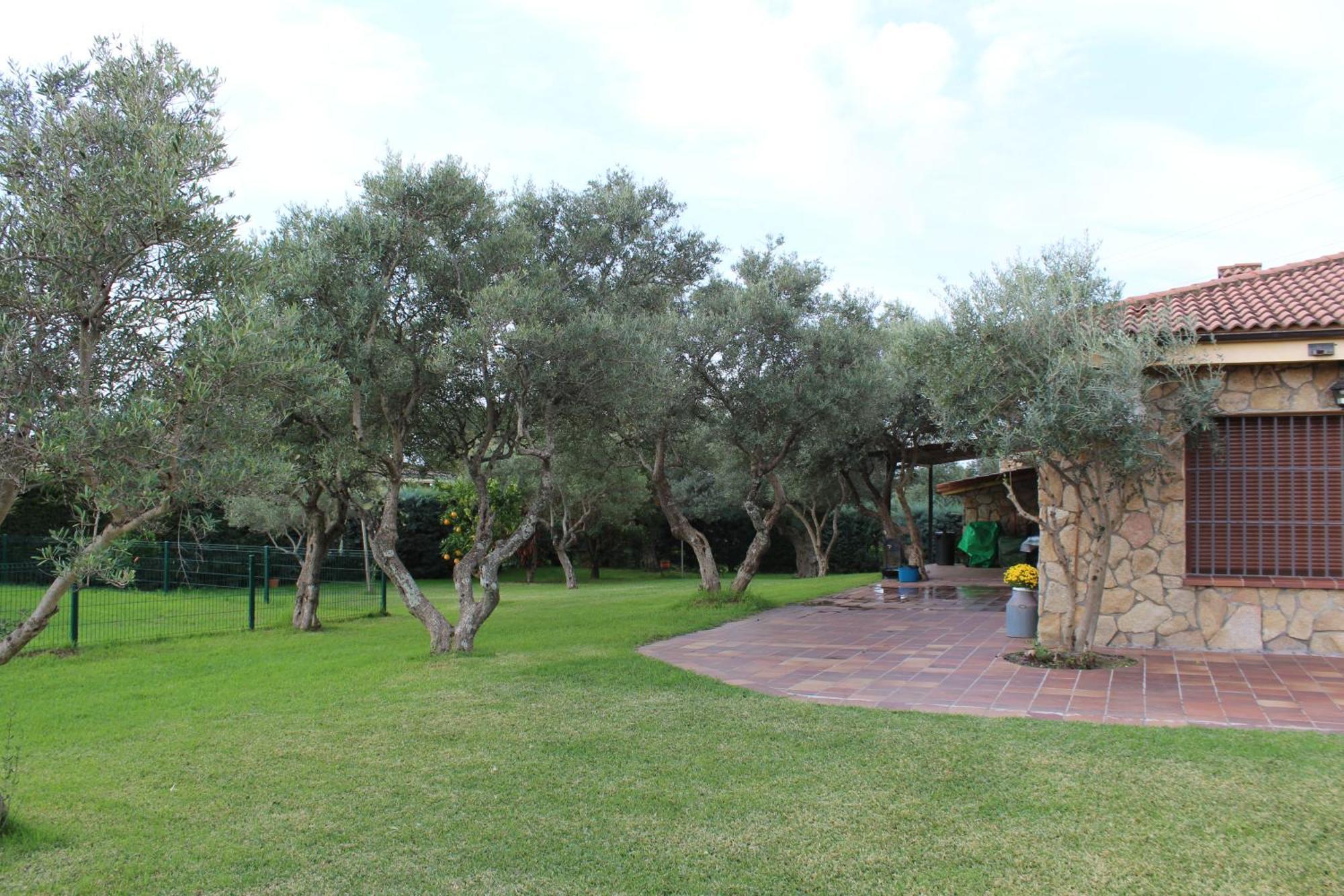 La Huertarrona Candeleda Exterior foto